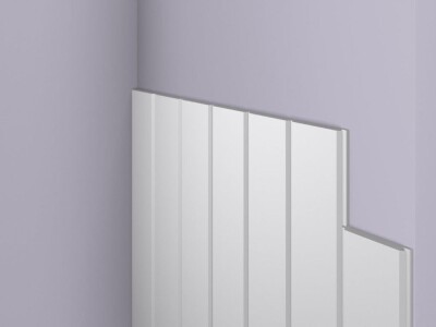 Panel_scienny_Wallstyl_WG2_NMC